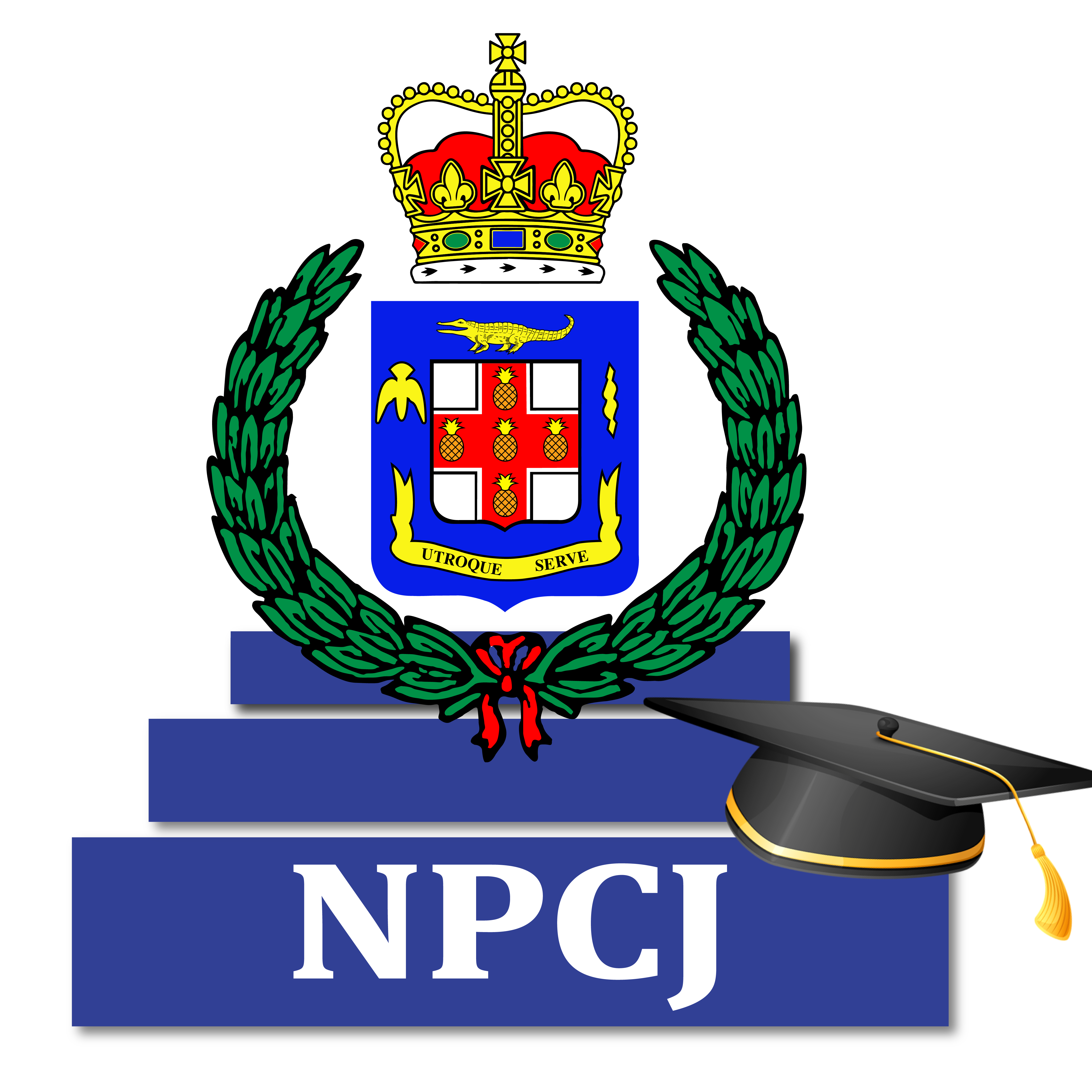 Faculty of Initial & Probationer Training Logo
